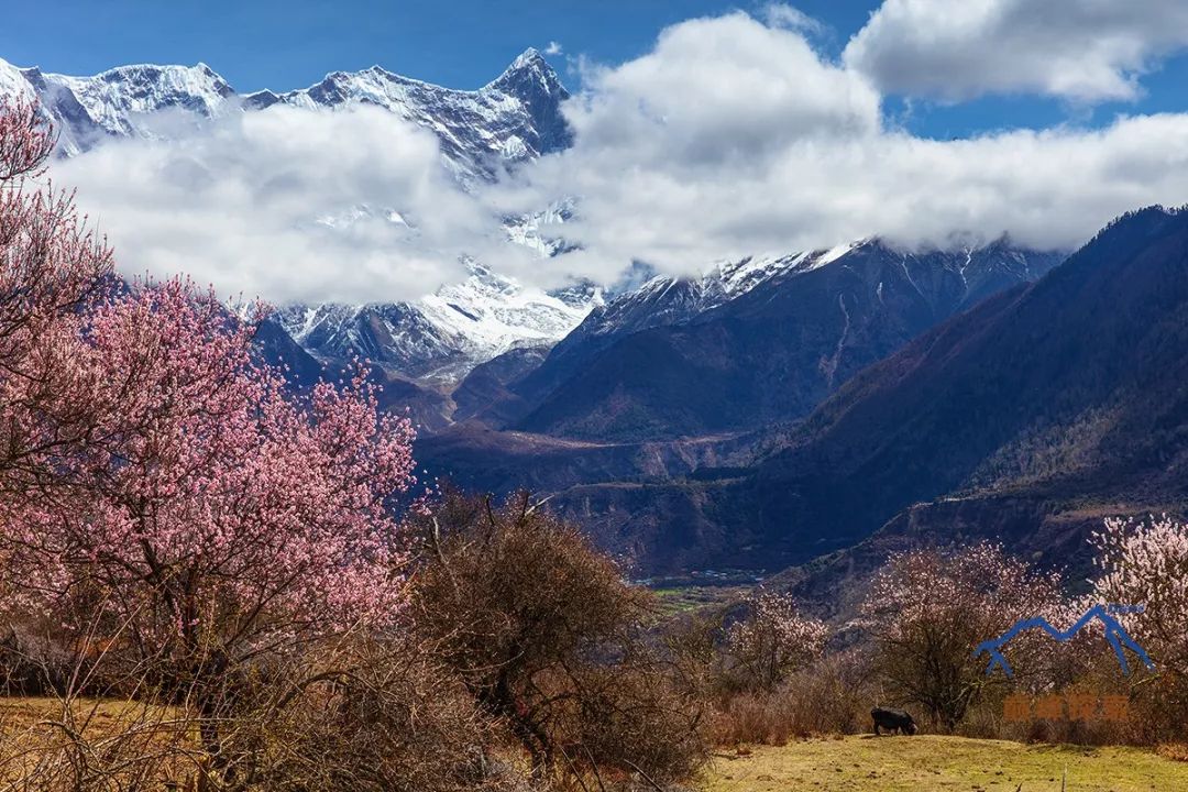 南迦巴瓦，每一個中國人都應該知道的山峰！ 旅遊 第33張