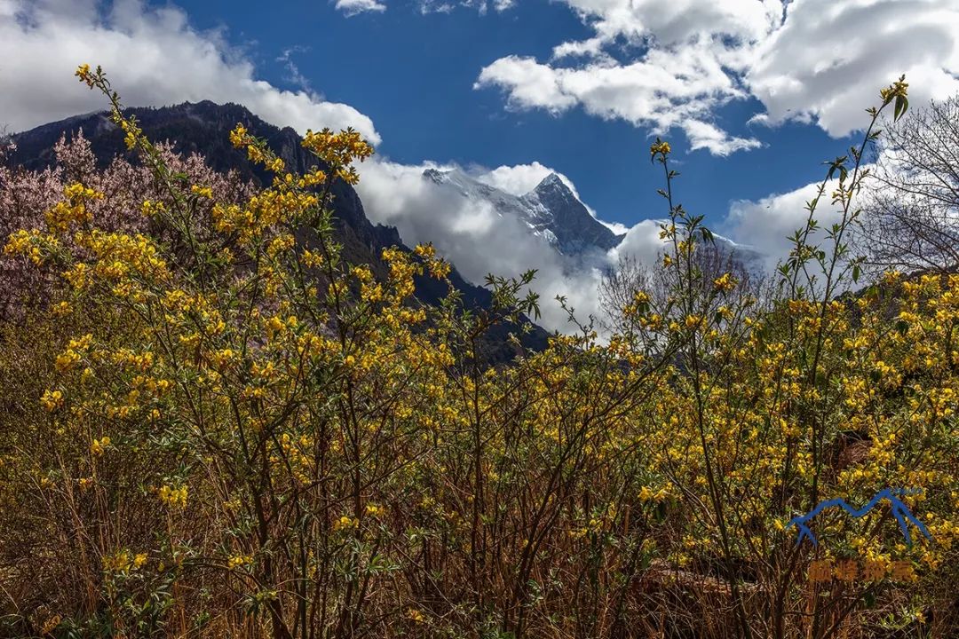 南迦巴瓦，每一個中國人都應該知道的山峰！ 旅遊 第20張