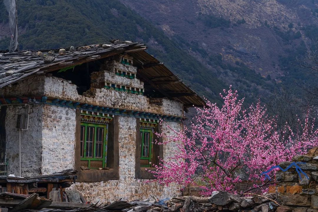 南迦巴瓦，每一個中國人都應該知道的山峰！ 旅遊 第17張