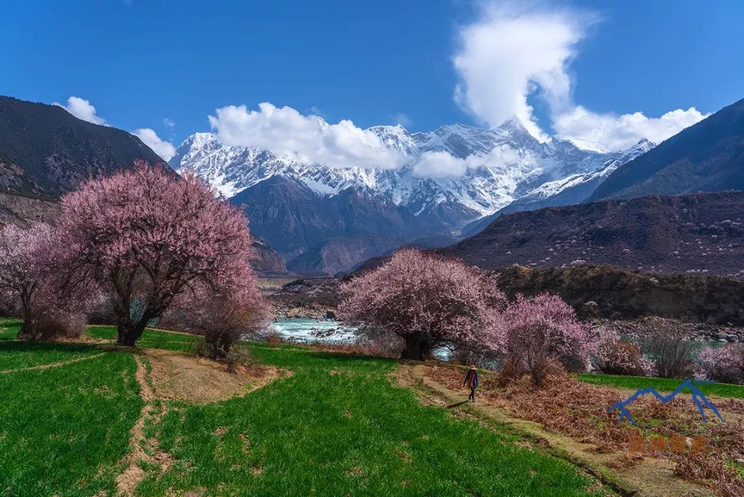 南迦巴瓦，每一個中國人都應該知道的山峰！ 旅遊 第2張