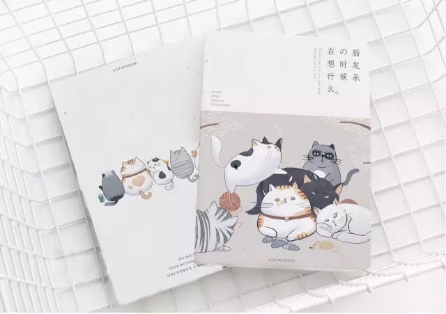 東莞畫冊印刷加工_做畫冊印刷廠_上海畫冊印刷