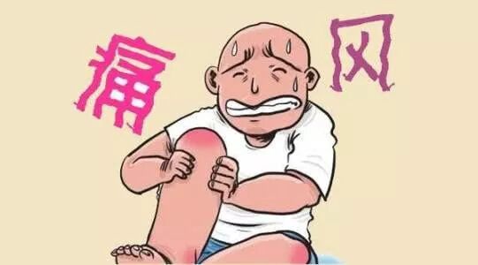 痛风的“特效药”开水冲饮，无副作用，痛风不发作！