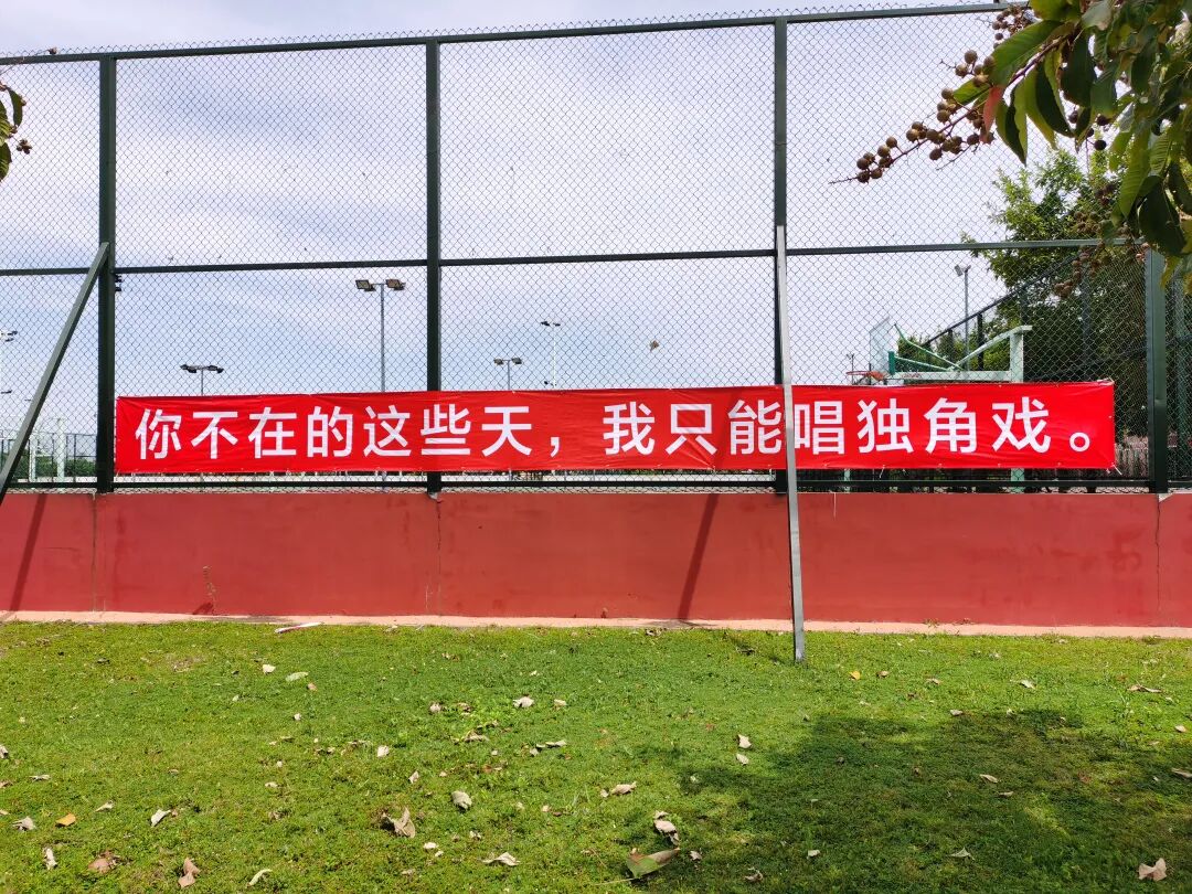 刷屏了！开学季最暖高校横幅来袭，学生：戳中我的小心脏