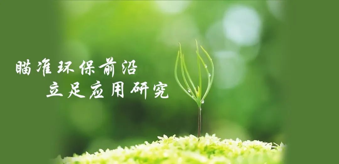 铅锌尾矿