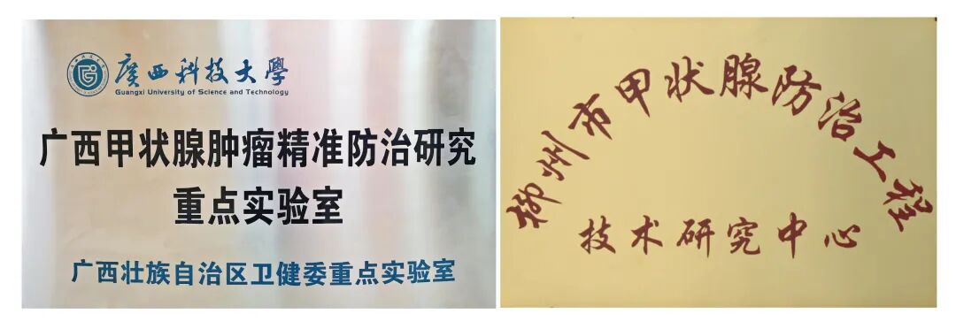 d-spect怎么检查SPECT／CT 检查需要注意什么？看看这里，告诉您这样做~_https://www.jmylbn.com_新闻资讯_第20张