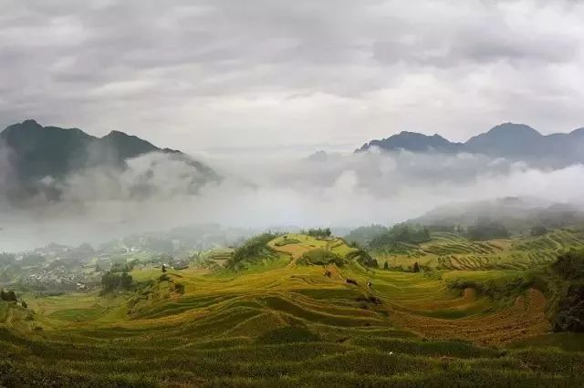 你要是去麗水，記得@我 旅行 第67張