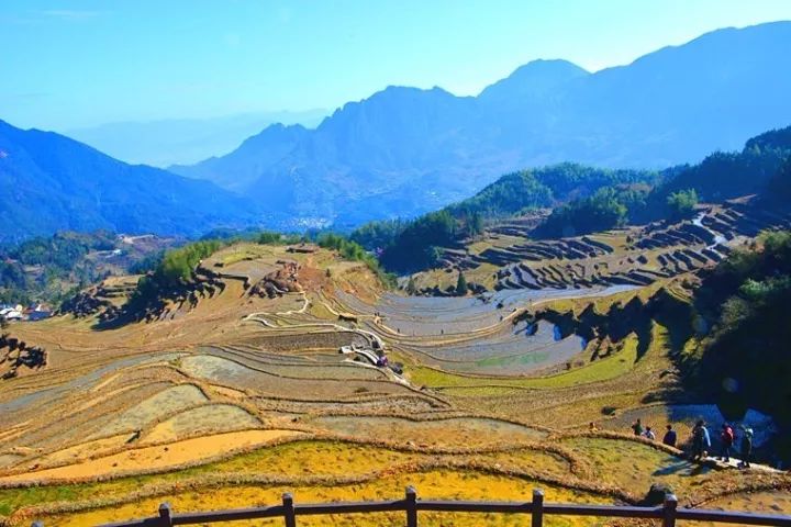 你要是去麗水，記得@我 旅行 第72張