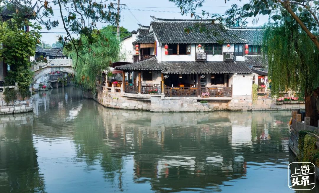 比朱家角歷史悠久，比南翔幽靜，上海這座1500多年的古鎮真的嗲色寧！ 旅行 第48張