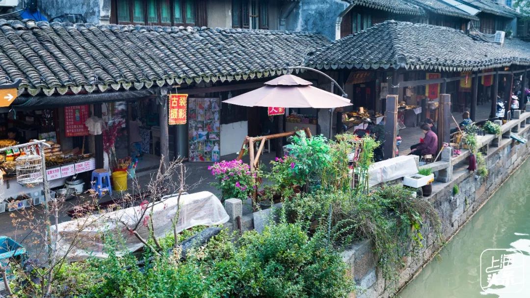 比朱家角歷史悠久，比南翔幽靜，上海這座1500多年的古鎮真的嗲色寧！ 旅行 第9張
