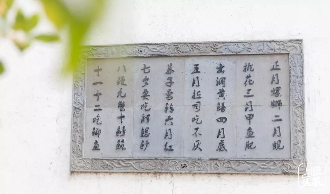 比朱家角歷史悠久，比南翔幽靜，上海這座1500多年的古鎮真的嗲色寧！ 旅行 第33張