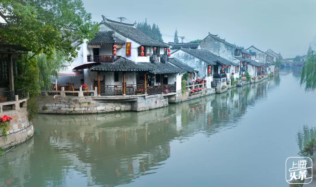 比朱家角歷史悠久，比南翔幽靜，上海這座1500多年的古鎮真的嗲色寧！ 旅行 第53張