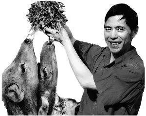 沈石溪的书为什么不能看_沈石溪畅销书_沈石溪最著名的书