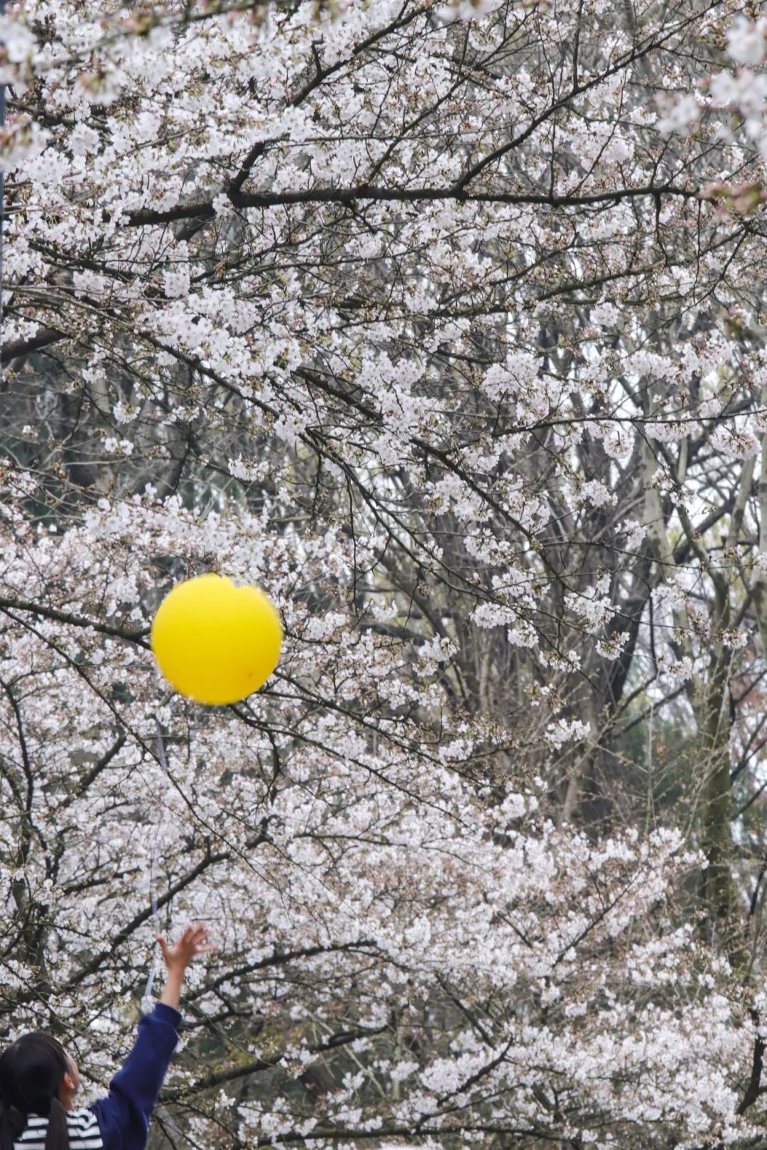 微信图片_20260324170245_1385_56.jpg