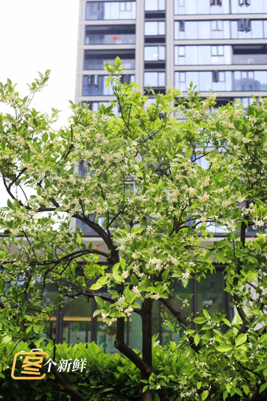 微信图片_20260422120938_2209_153 拷贝.jpg