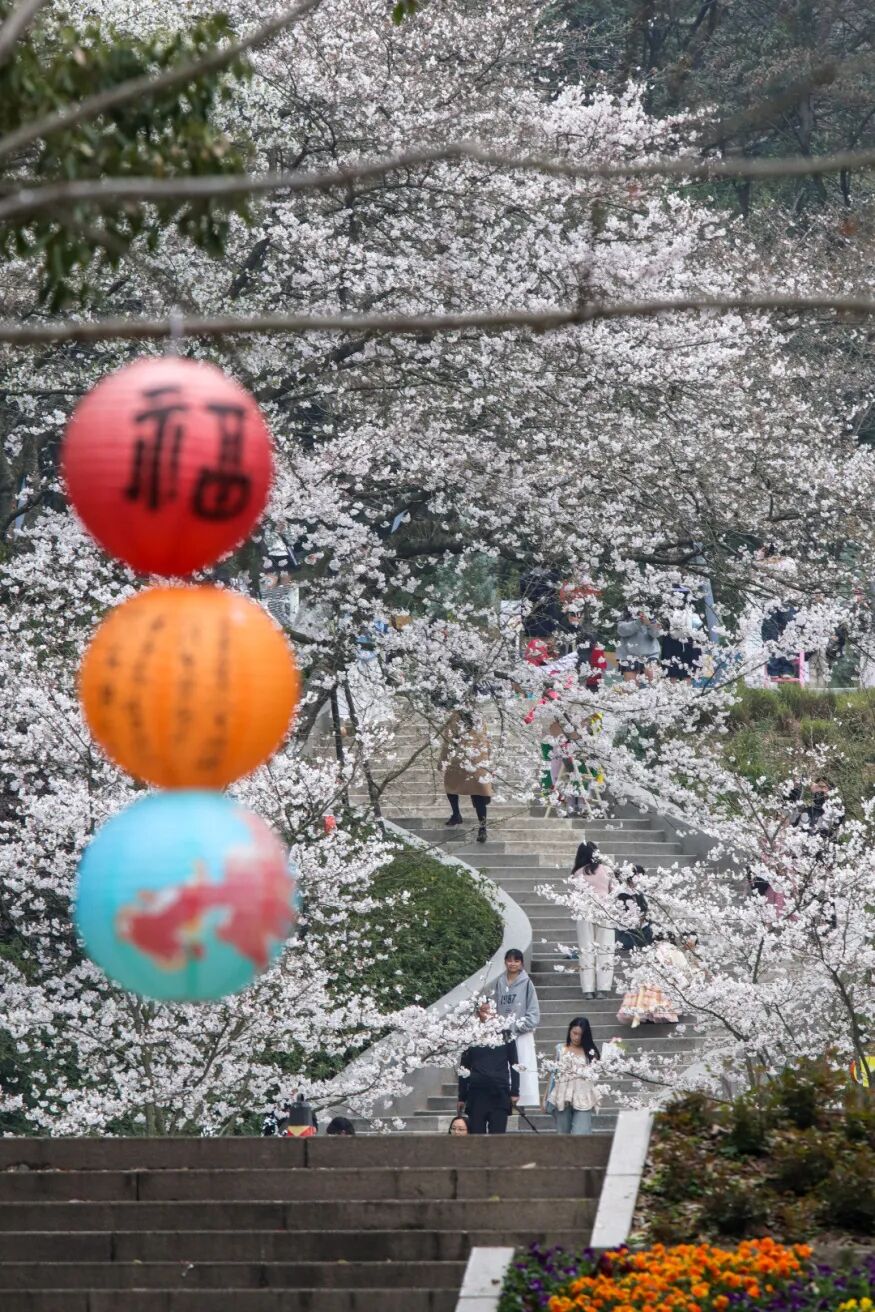 微信图片_20260323113449.jpg