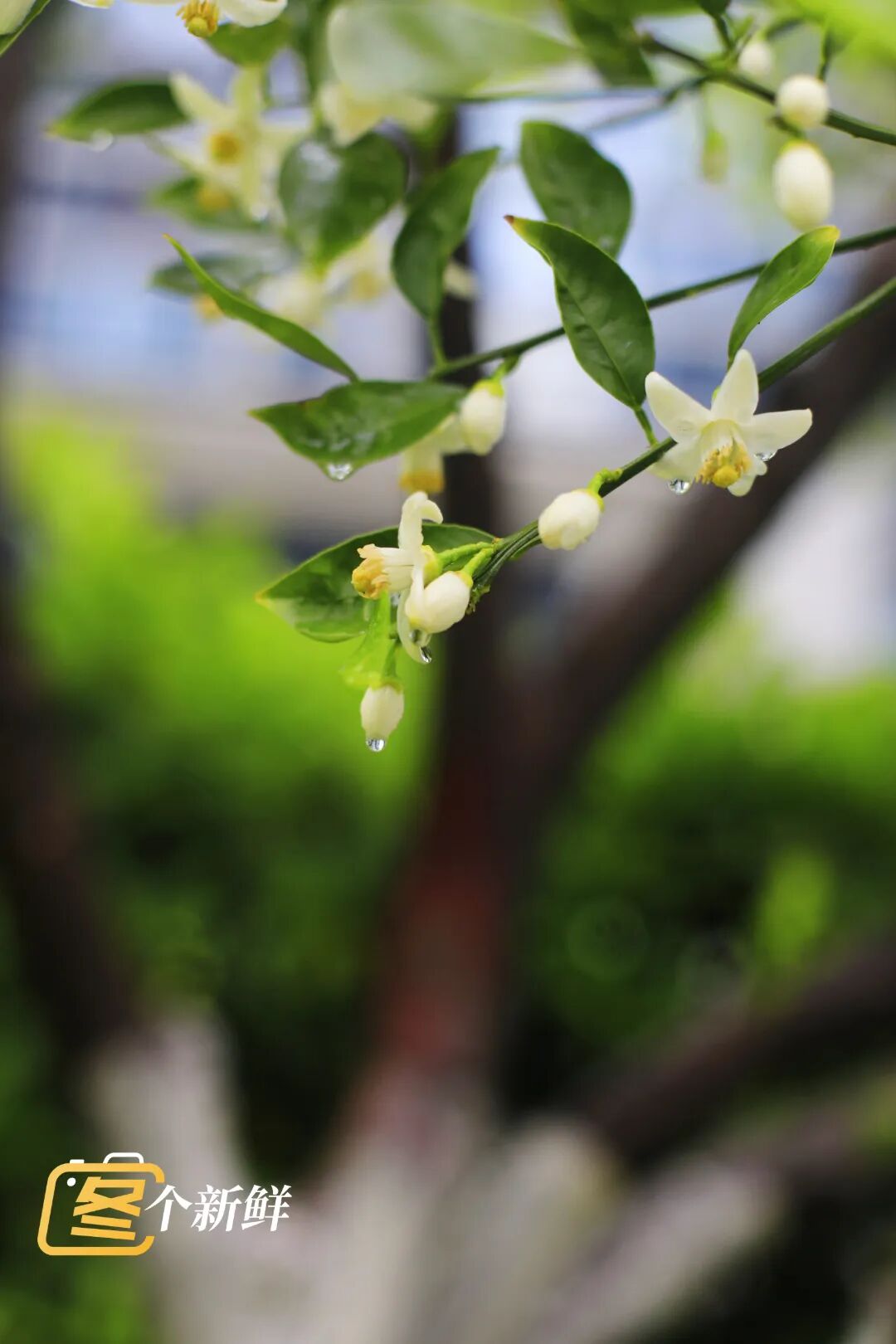 微信图片_20260422120931_2207_153 拷贝.jpg