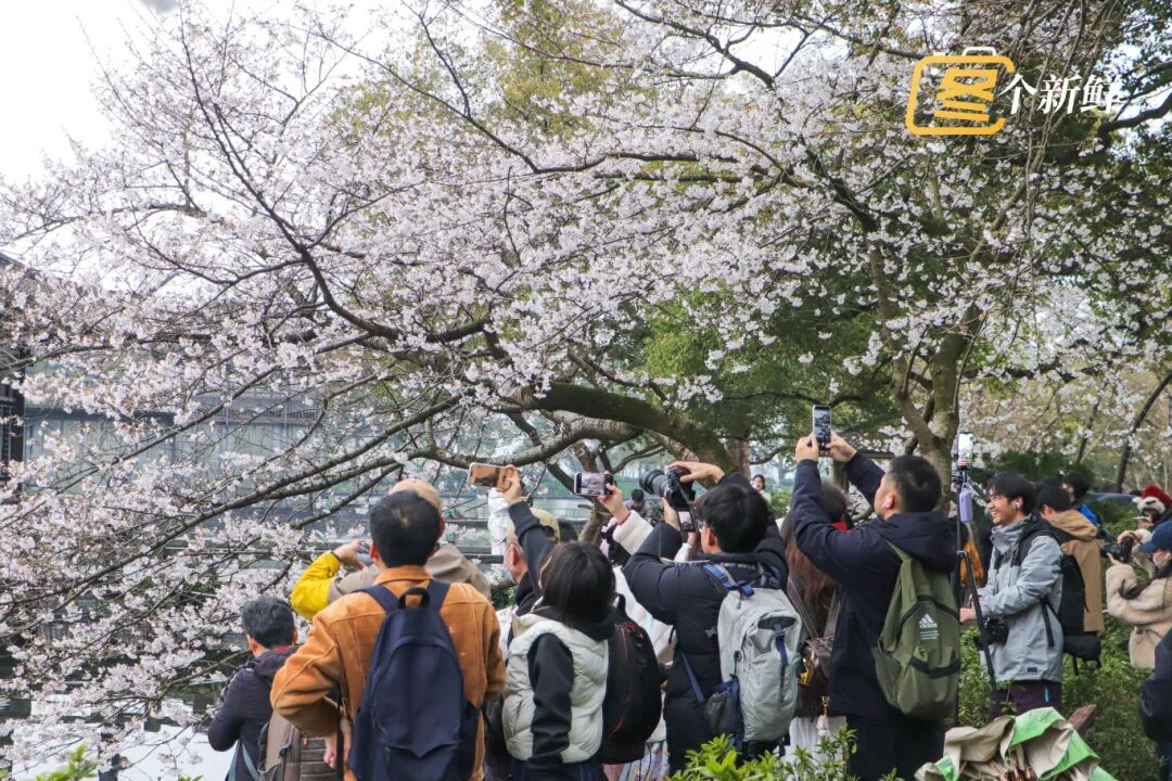 微信图片_2026-03-23_155540_399.jpg