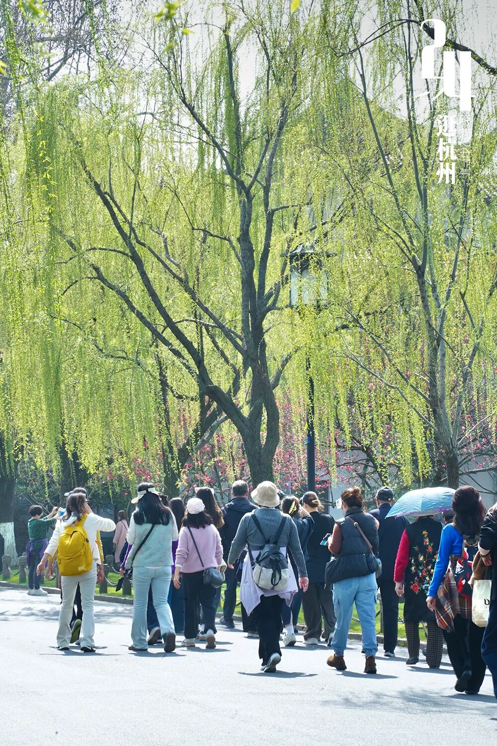 清明打logo-8.jpg