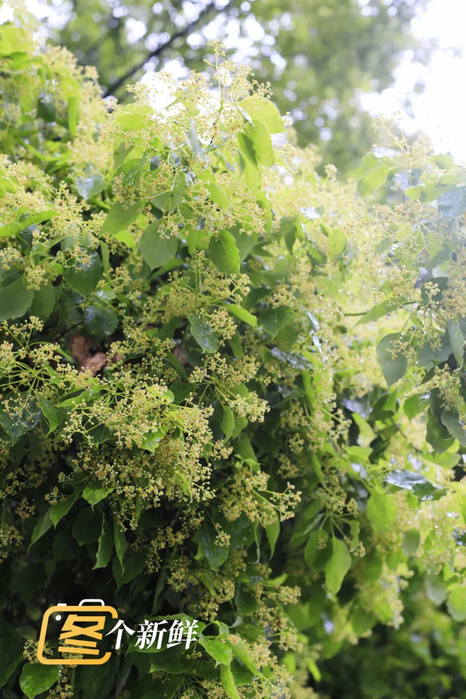 微信图片_20260422120941_2211_153 拷贝.jpg