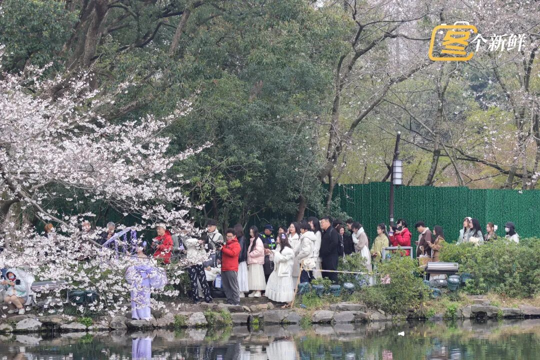 微信图片_2026-03-23_155529_807.jpg