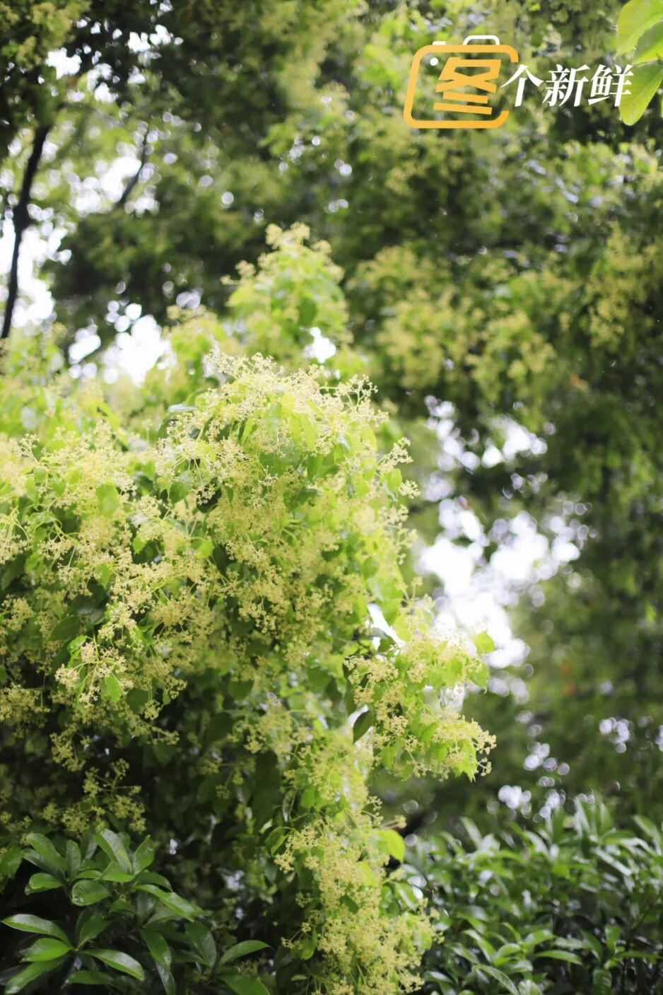 微信图片_20260422120945_2214_153 拷贝.jpg