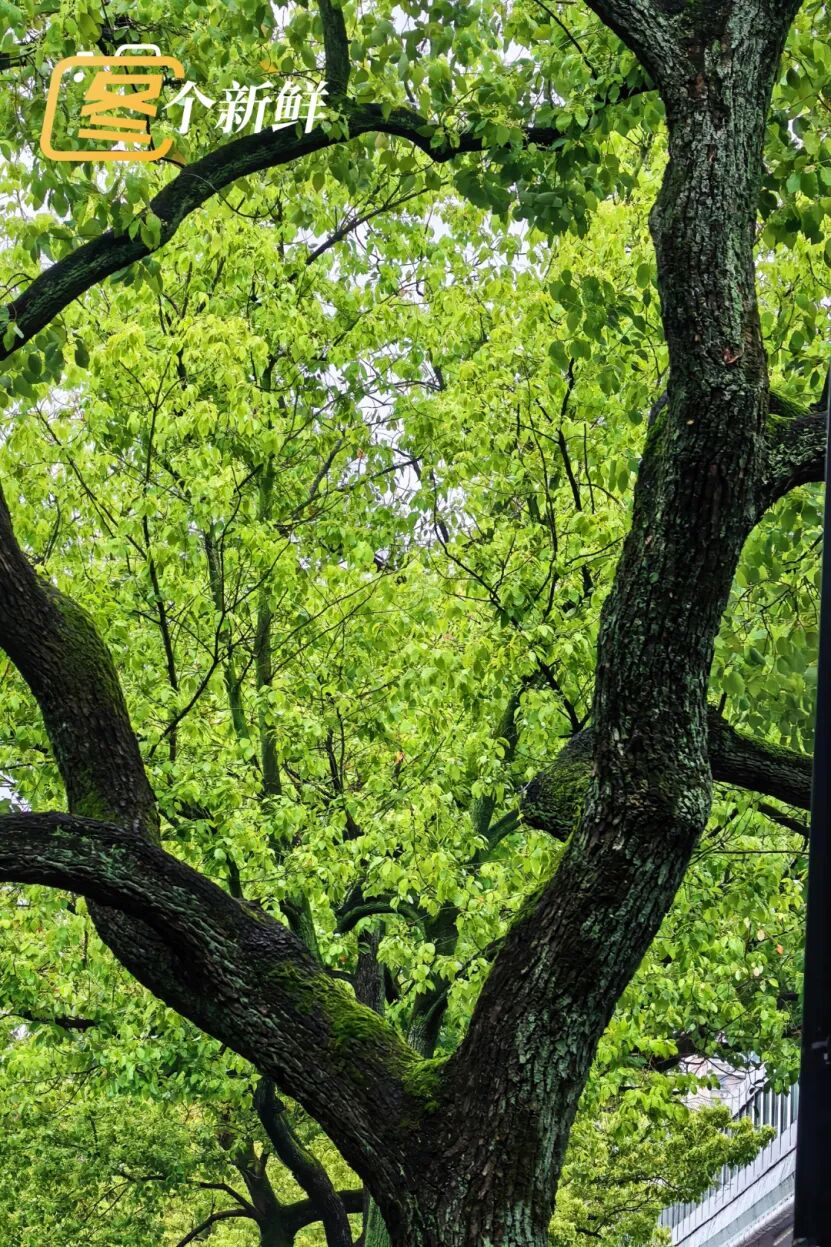 微信图片_20260422121721_2216_153 拷贝.jpg