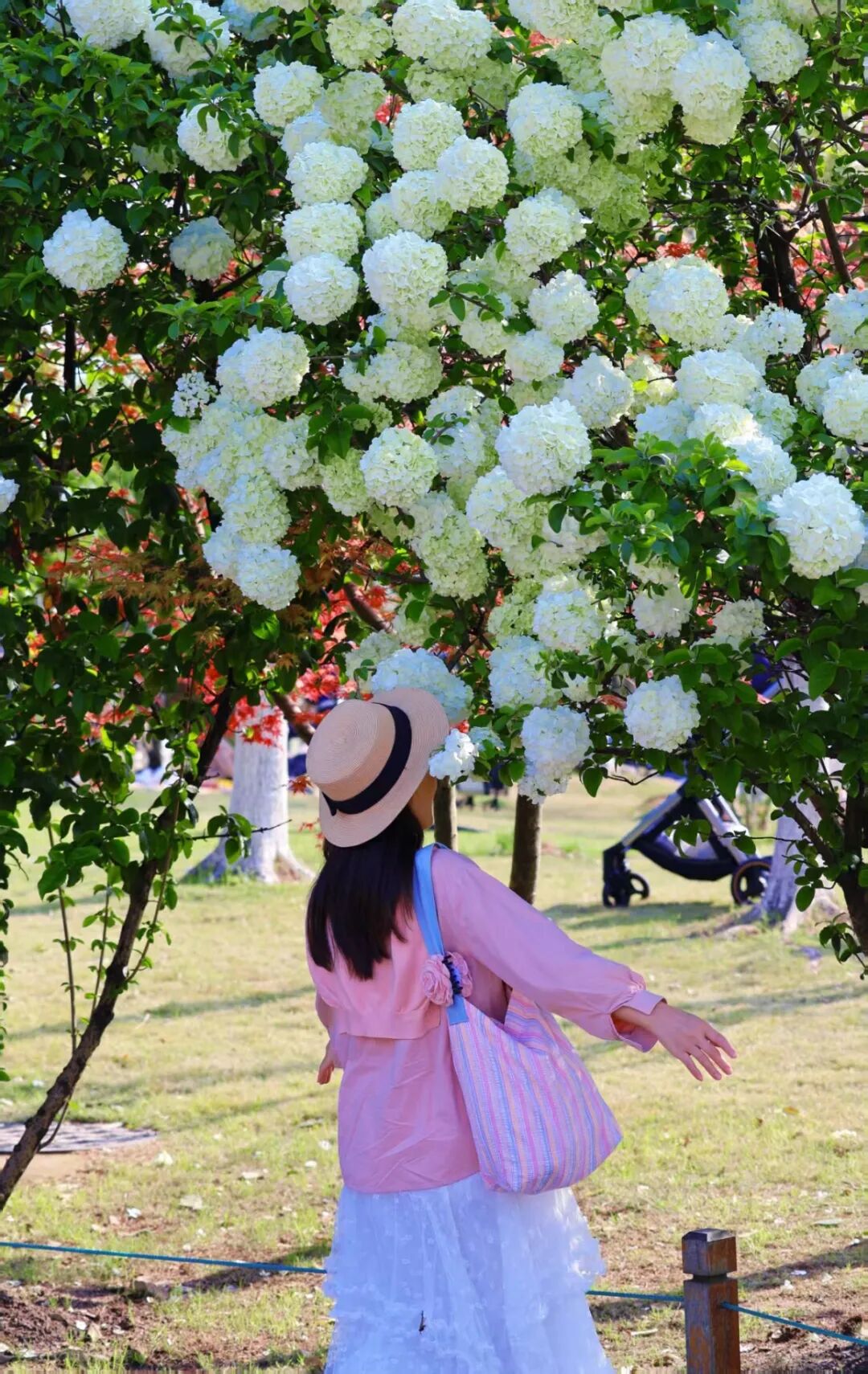 588d1030cc2f643ac52501134fdc15c0.jpg