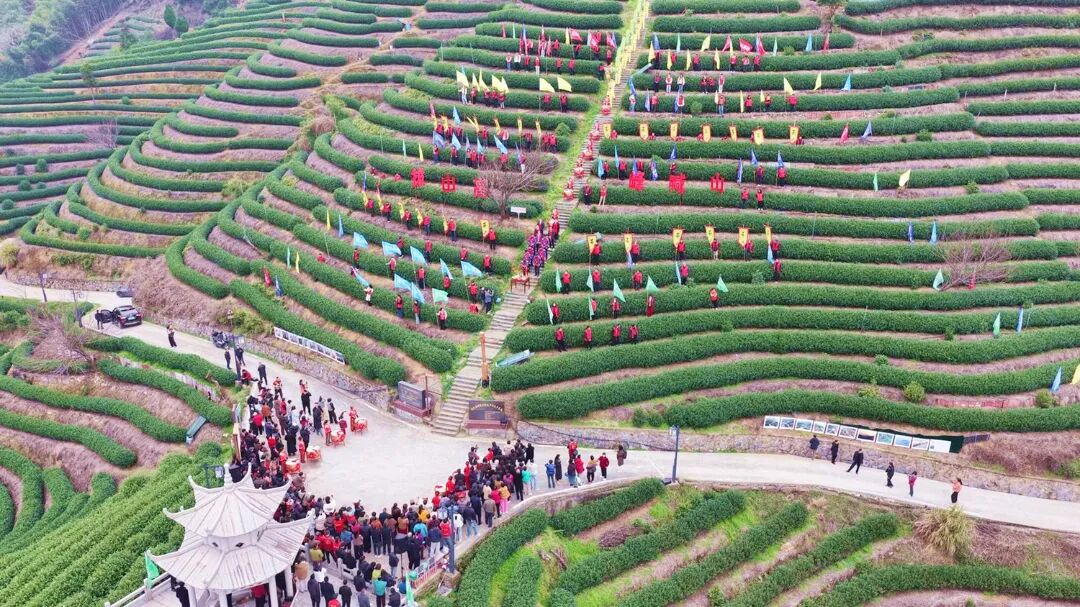 今年3月5日，富阳拔山村祈茶仪式（高远 摄）1.jpg