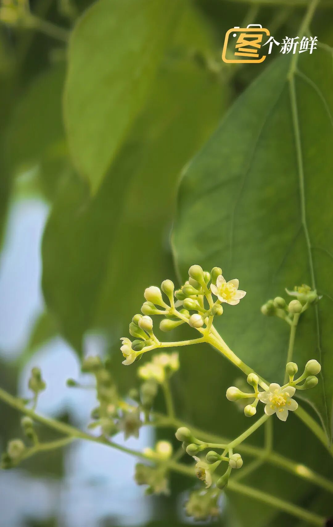 微信图片_20260422121748_2218_153 拷贝.jpg