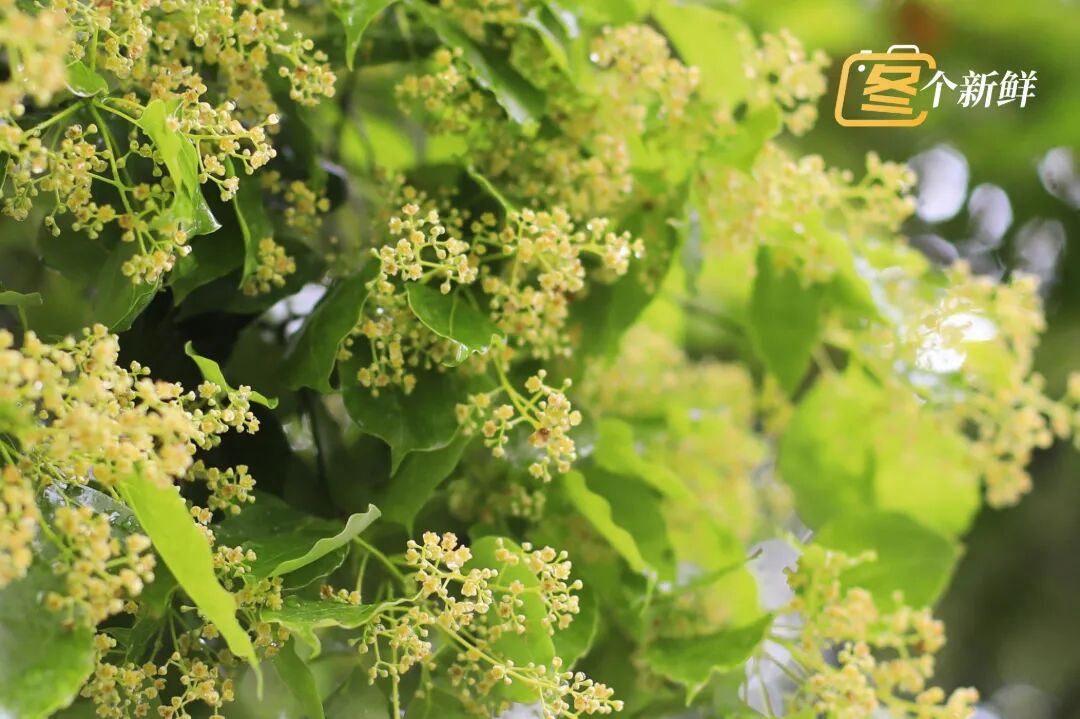 微信图片_20260422120942_2212_153 拷贝.jpg