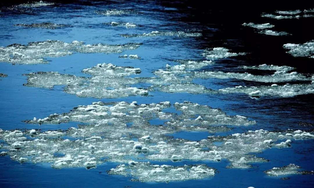 仿流明灯珠过回流焊_仿流明灯珠规尺寸_流珠