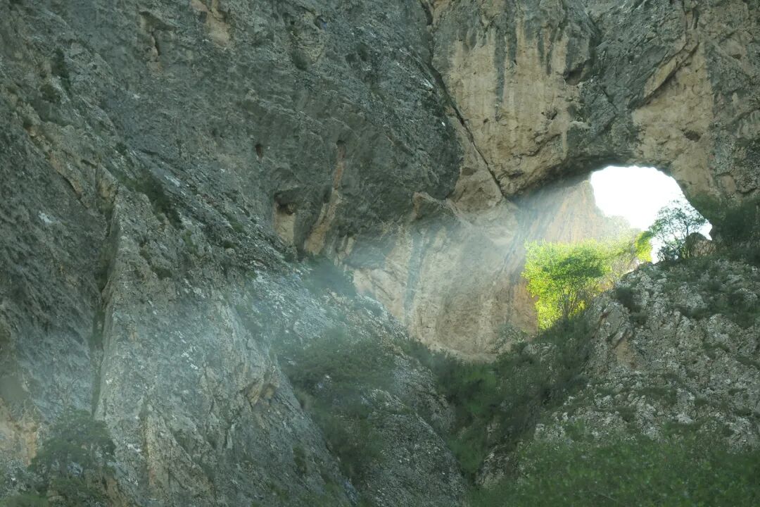 ͼƬ