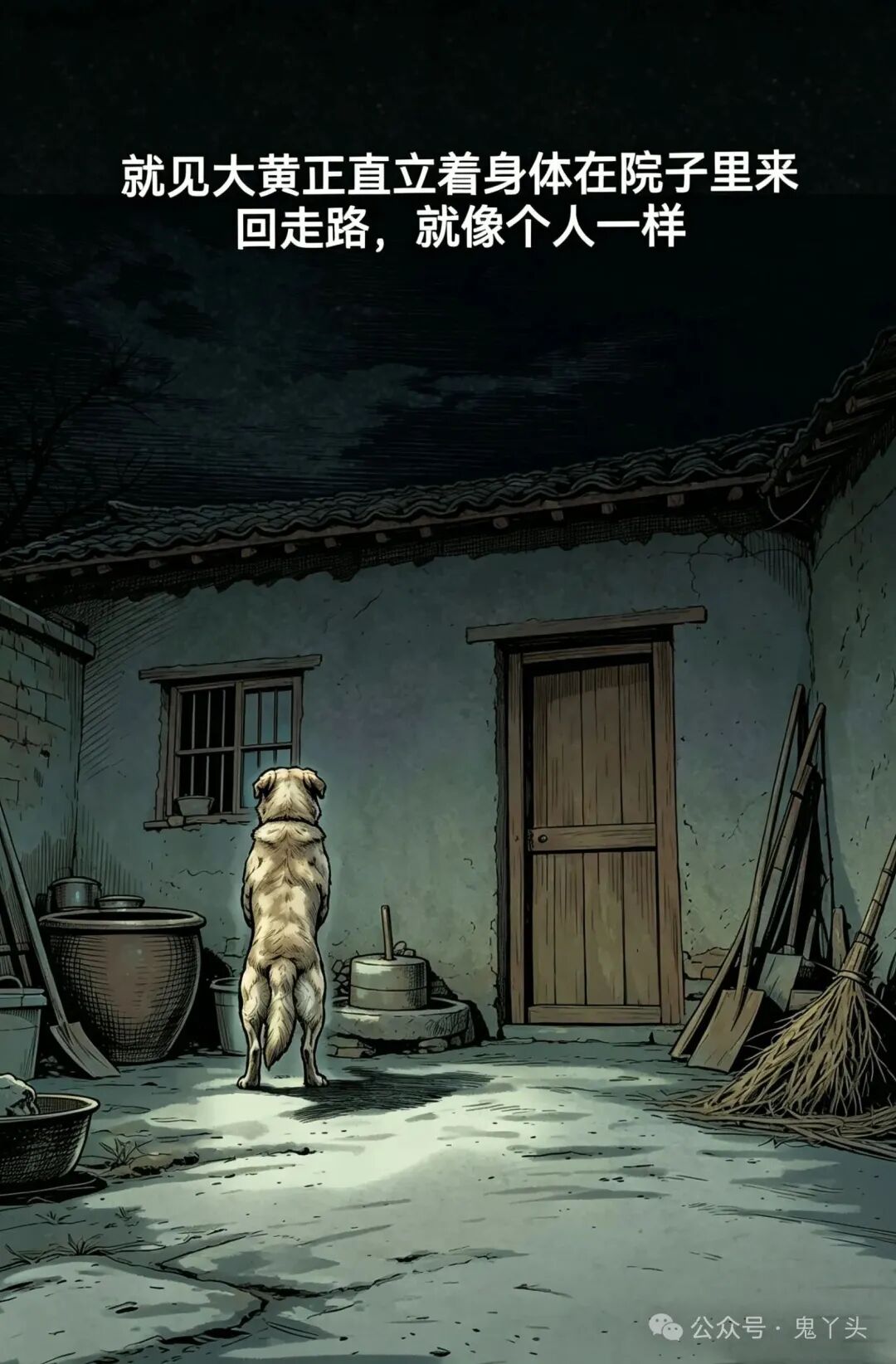 ͼƬ