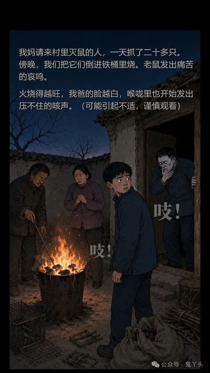ͼƬ