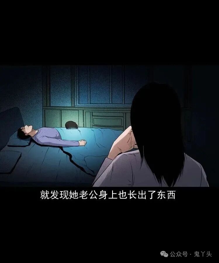 ͼƬ