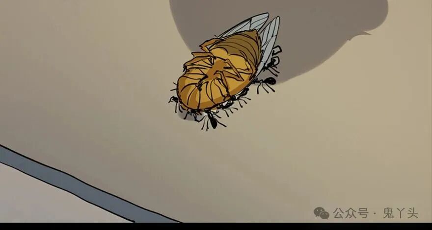 ͼƬ