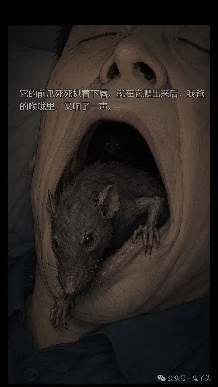 ͼƬ