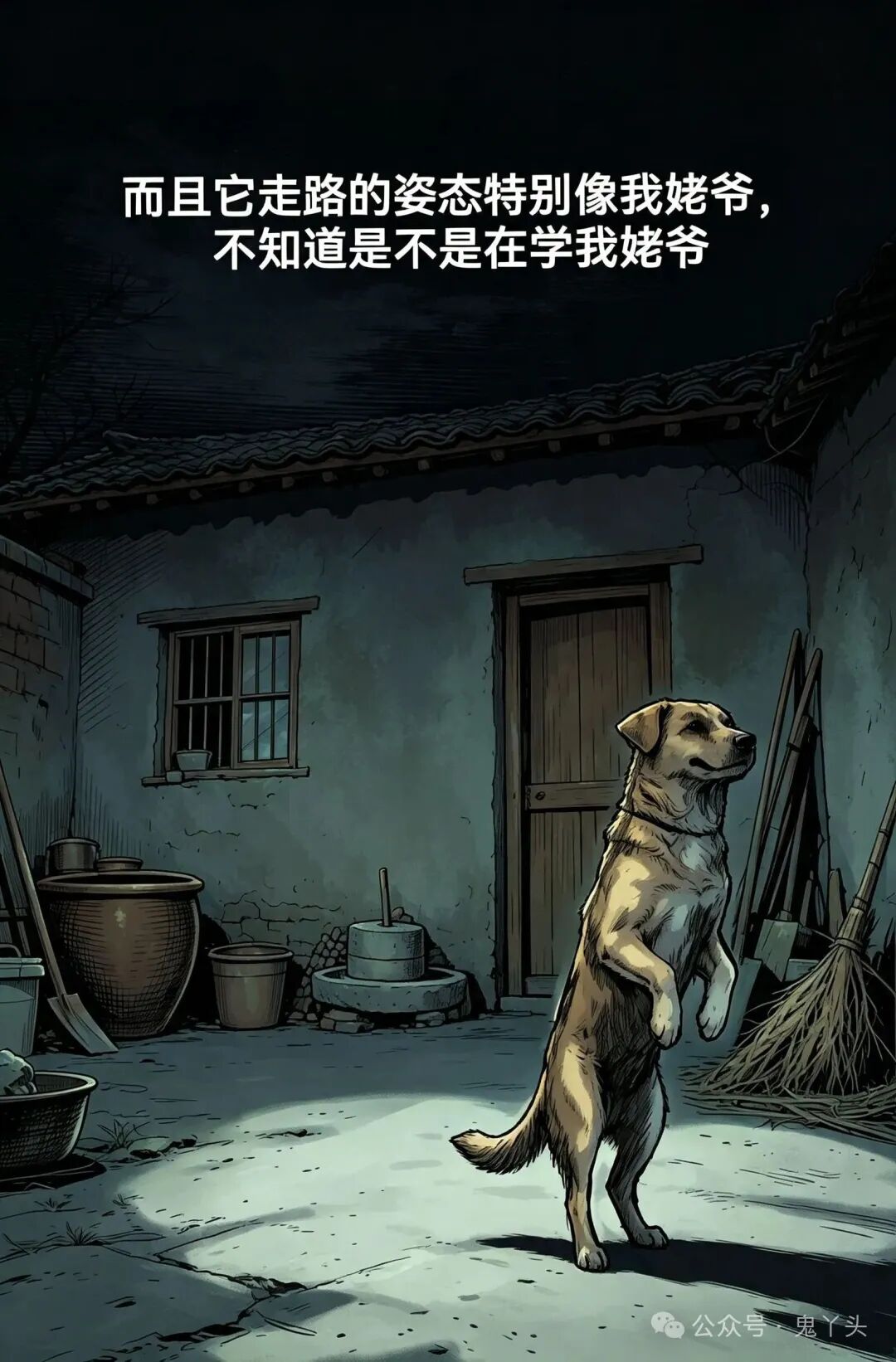 ͼƬ