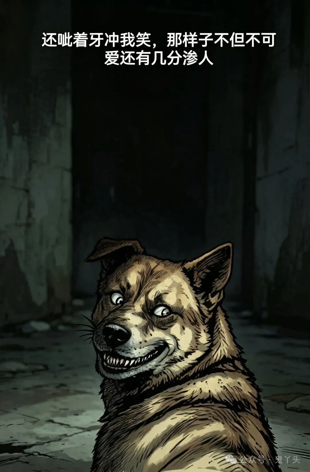 ͼƬ