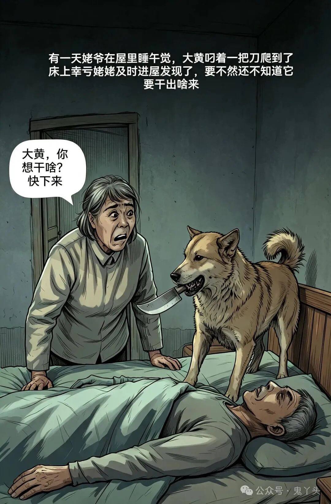 ͼƬ