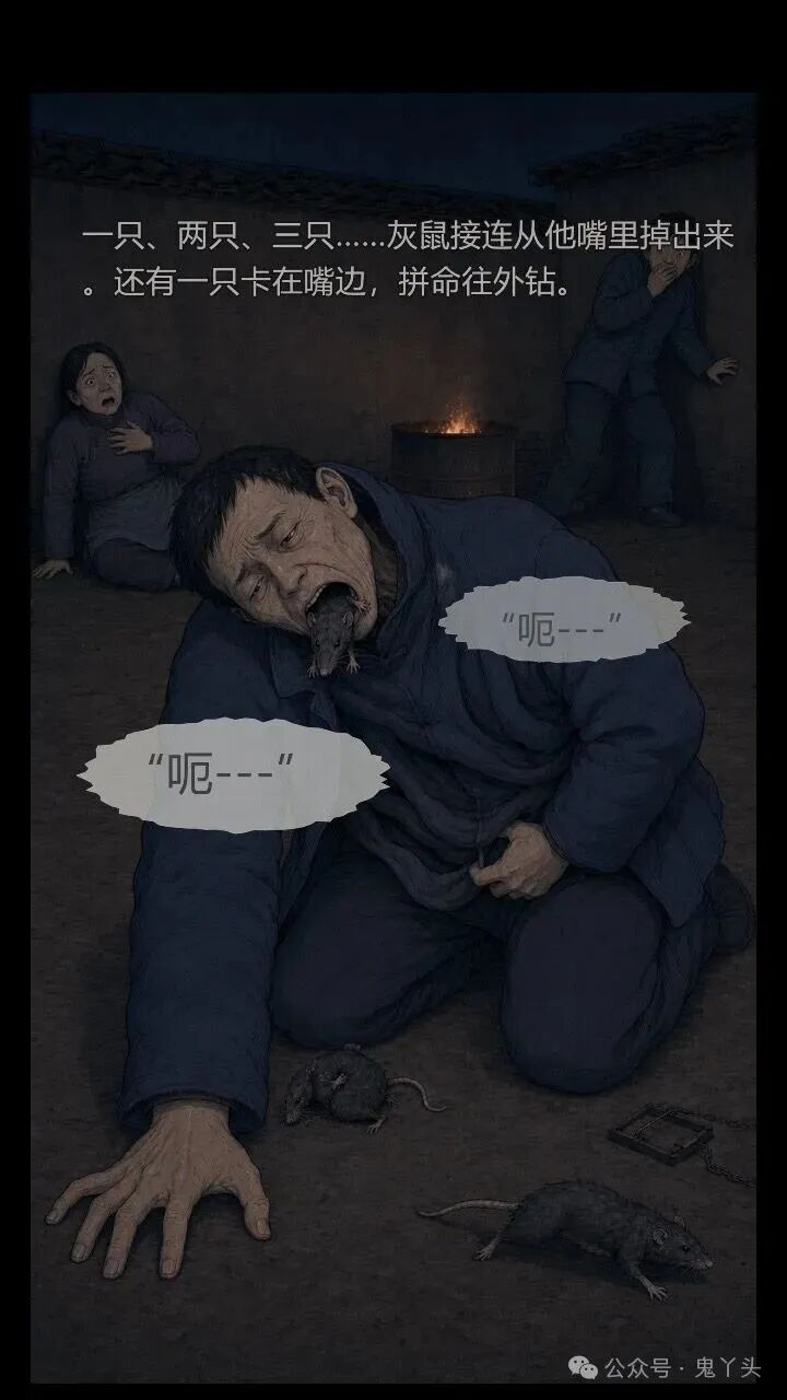 ͼƬ