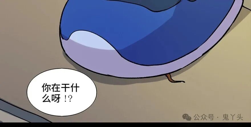 ͼƬ