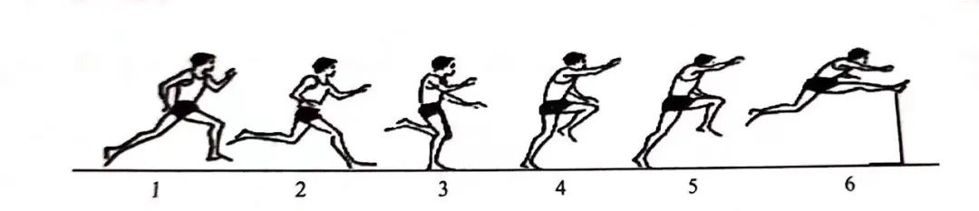 跨欄步技術跨欄跑及練習方法02提高反應的練習各種姿勢起跑蹲踞式起跑