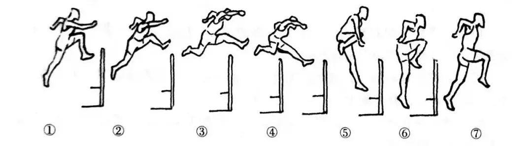 动作结构听节奏跑固定步长高频率跑后蹬跑04中长跑及练习方法中长距离