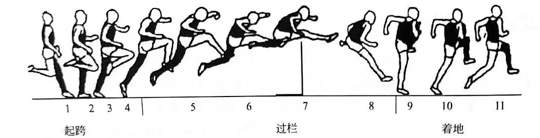 跨栏跑及练习方法02提高反应的练习各种姿势起跑蹲踞式起跑站立式起跑
