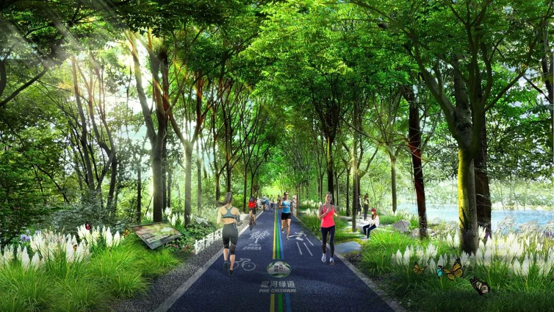 成都新都区毗河绿道带建设项目开工