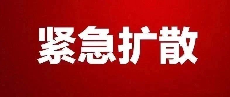 明天！泉州中考成绩公布！这里可快速查询