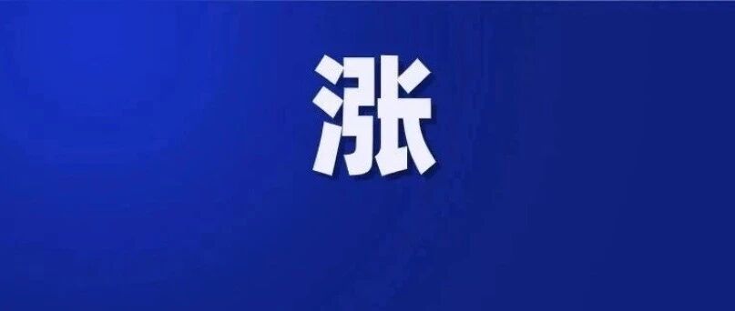 涨了！涨了！涨了！