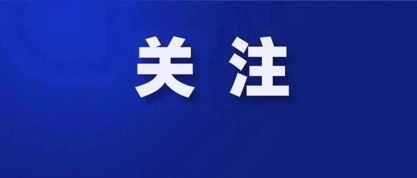网课老师招聘“唯学历论”，引发全网热议！