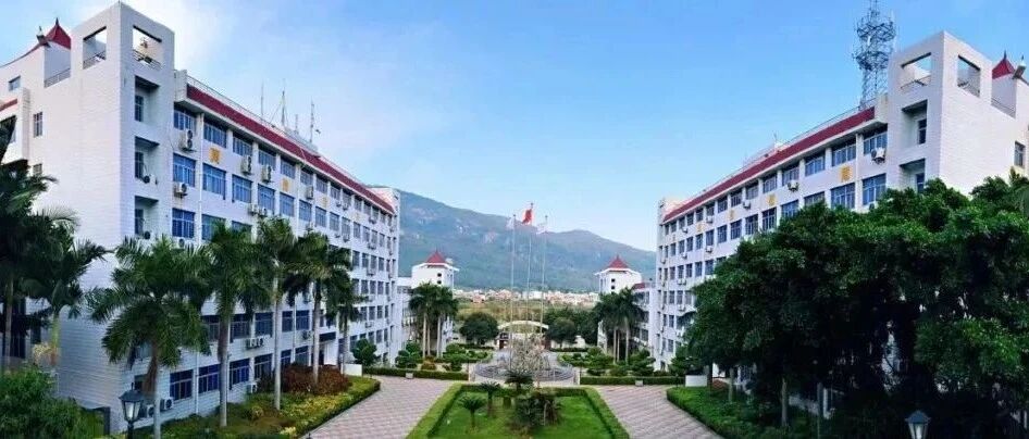 泉州小升初电脑派位结果公布！市区这所学校传出……